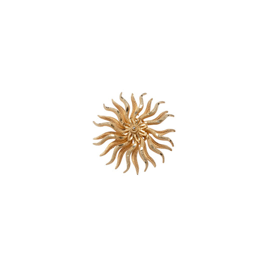 Vintage, Brooch, Ceremonial