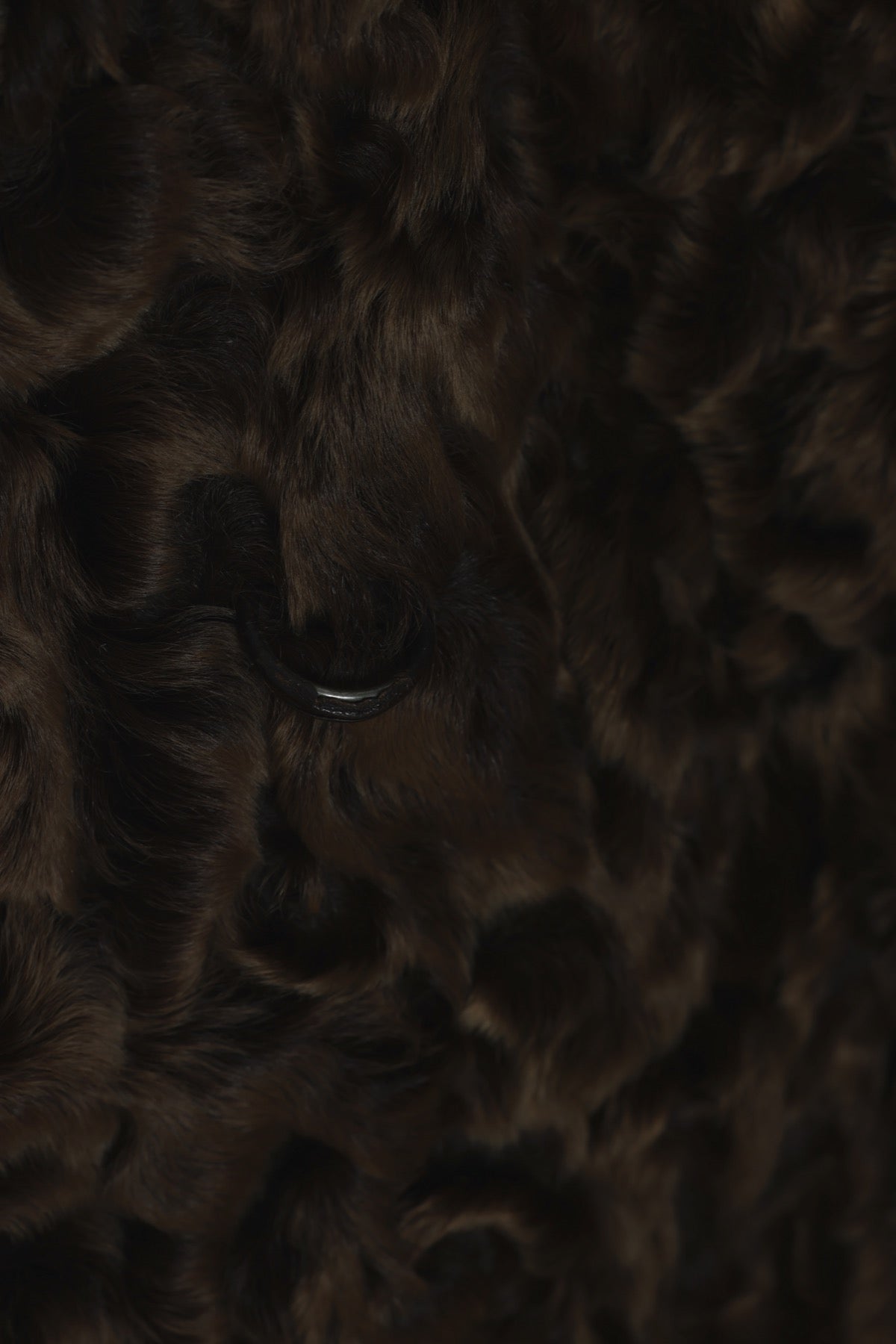 Vintage, 1970s, Sheared Ranch Mink