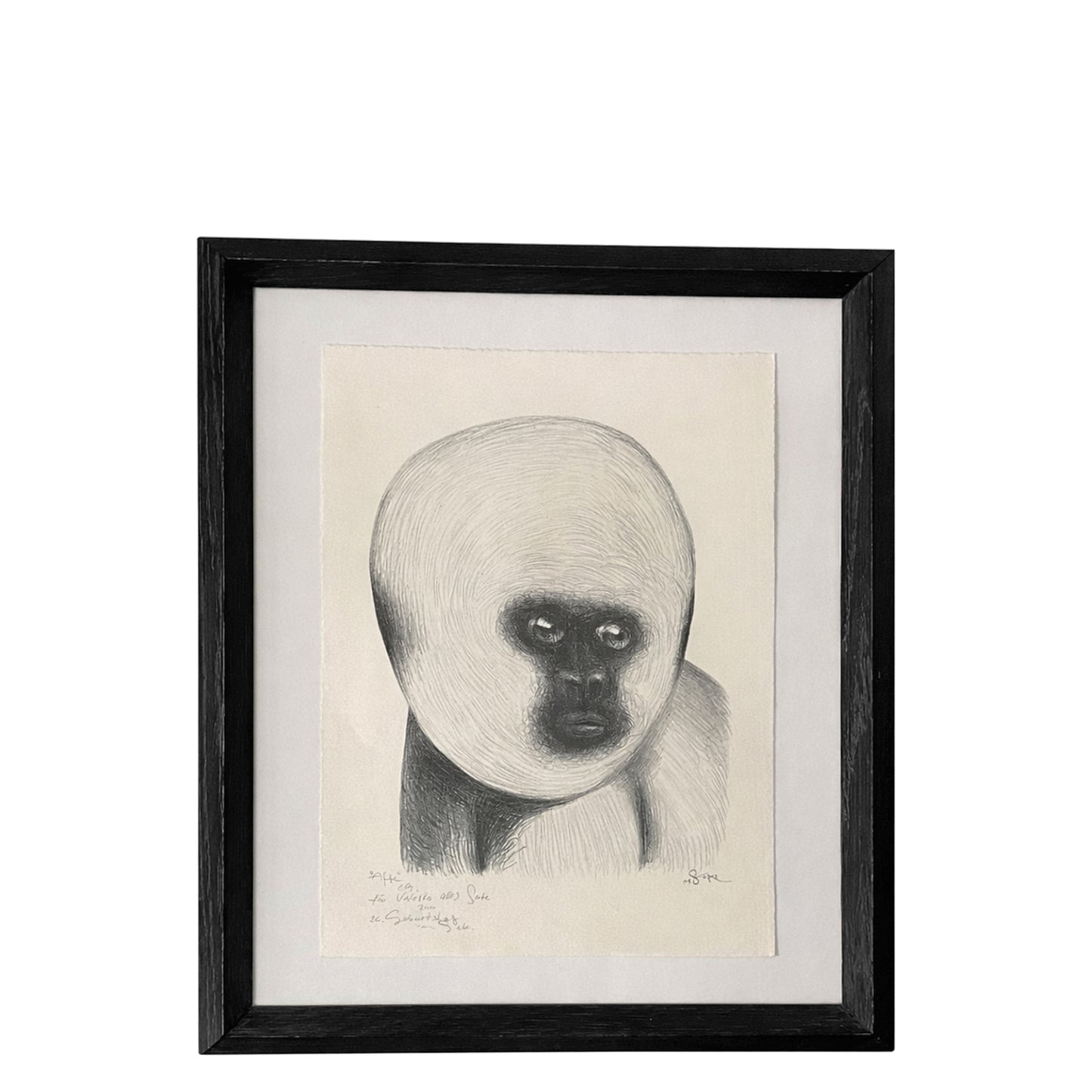 Primate Portrait, Graphite, Leipzig School Work