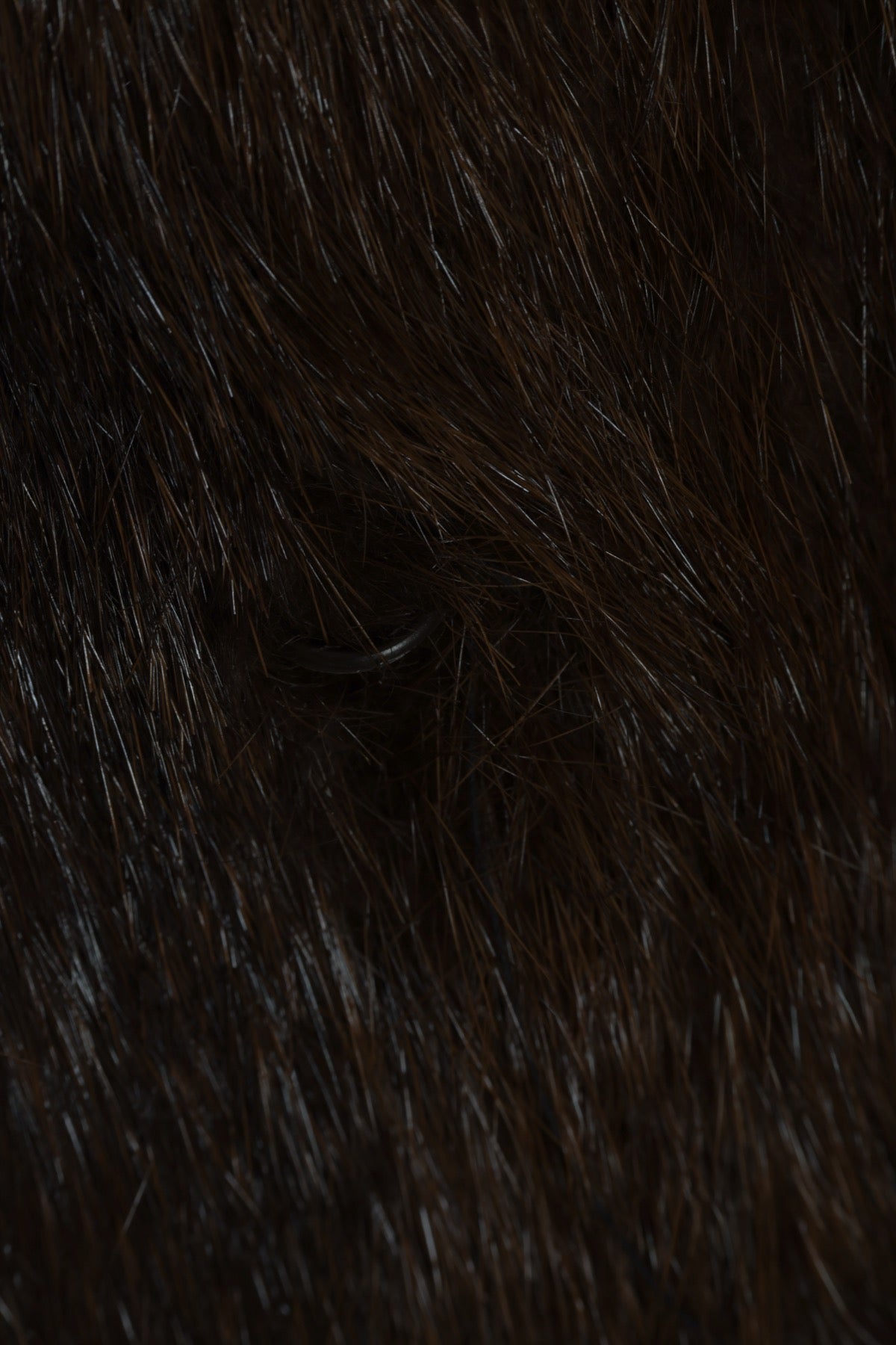 Vintage, 1960s, Female Ranch Mink, Demi Buff