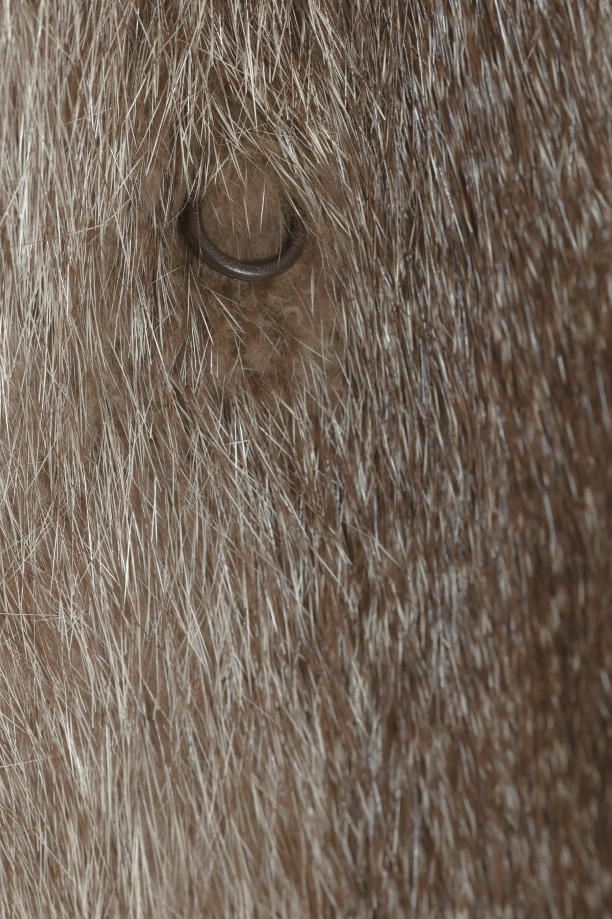 Vintage, 1960s, Ranch Mink